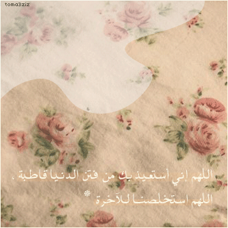 2014  2014 %D8%B1%D9%85